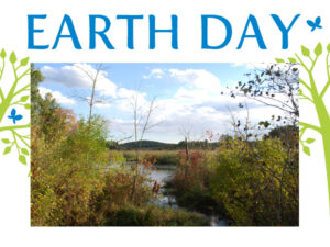 Pickerel Pond Guided Nature Walk