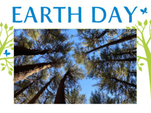 Guided Historic Trail Walk